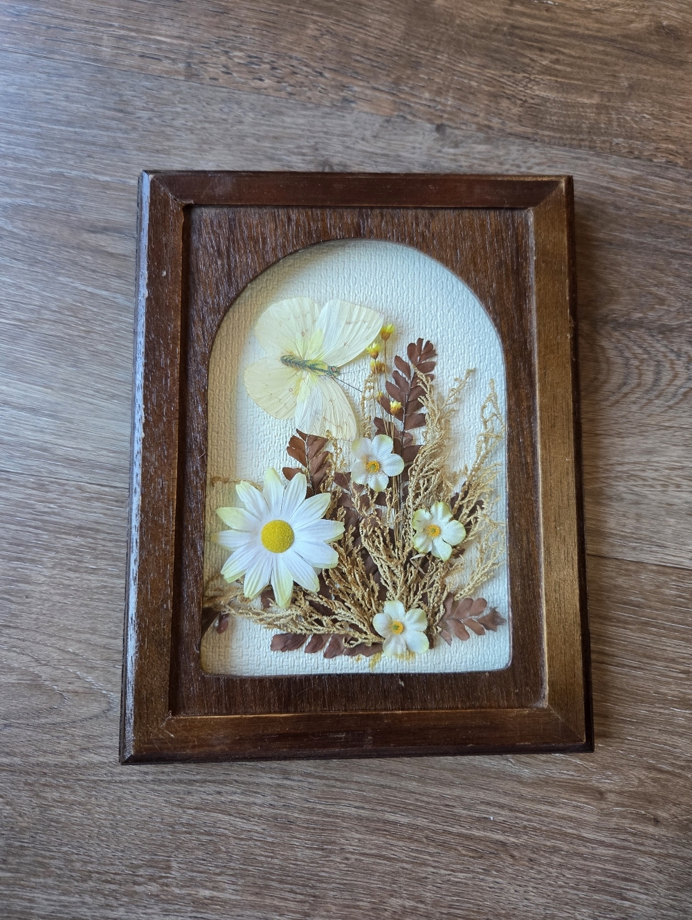 Vintage Faux Butterfly Dried Flowers Oval Wood Framed Wall Decor Shadowbox